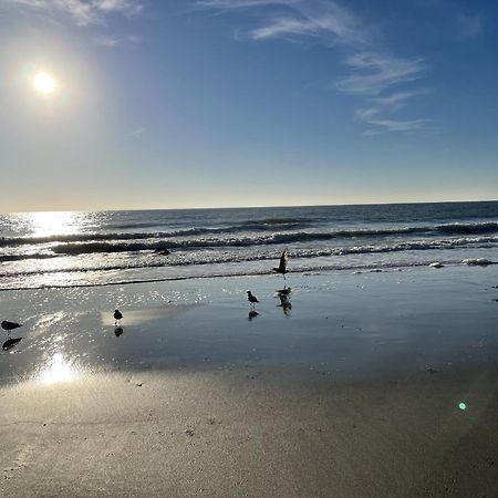 Blue Palmetto Vacation Rentals 미를 비치 외부 사진