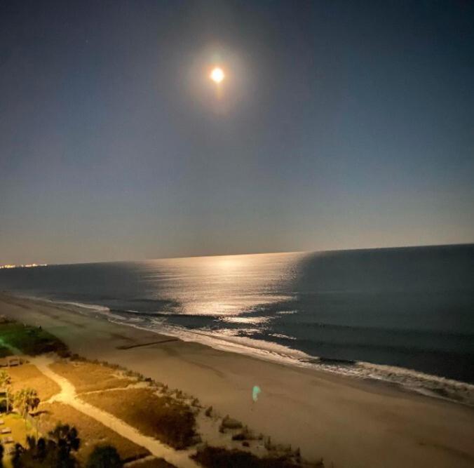 Blue Palmetto Vacation Rentals 미를 비치 외부 사진